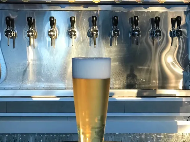 Imagem 5: Passo Ponto de Bar com Micro Cervejaria