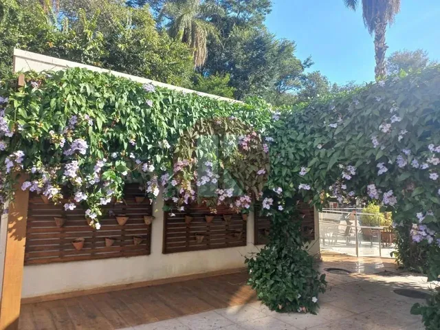 Imagem 12: Apartamento 2 Quartos com Armários, santa Amélia-Belo Horizonte/Mg