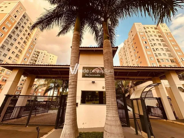 Imagem 15: Apartamento - São Bernardo - Campinas