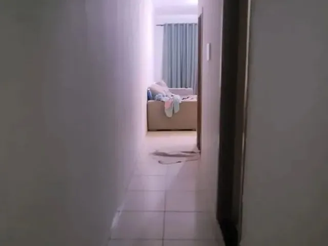 Imagem 9: Ágio Casa Jardins Marques de Abreu Casa de Rua com 2 Quarto(S) e 1 Banheiro(S) À Venda