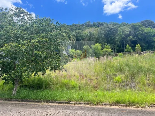 Imagem 2: Terreno com Vista Panorâmica em Nova Petrópolis 504m² no Bairro Pousada da Neve