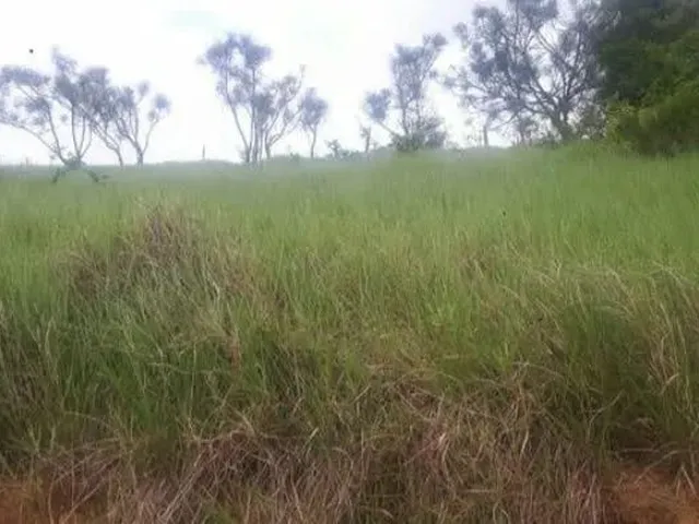 Imagem: O terreno possui 217m² de Área e está localizado em