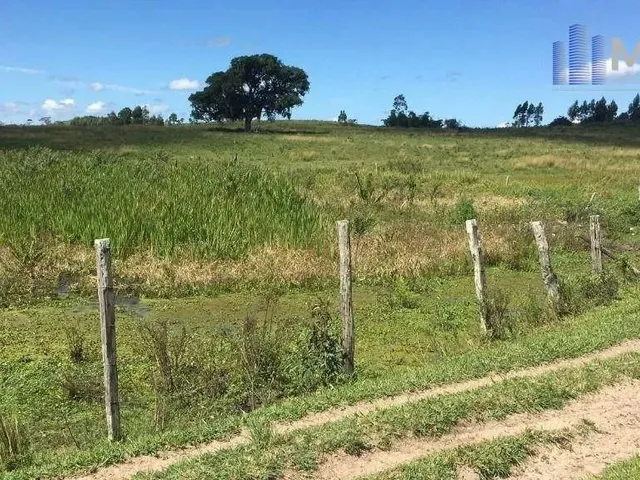 Imagem: Fazenda com 251 Ha