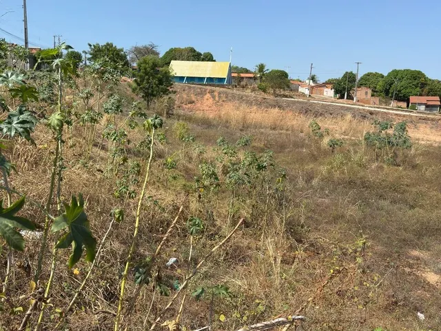 Imagem 9: Terreno À Venda - Xambioá/To - Setor Leste
