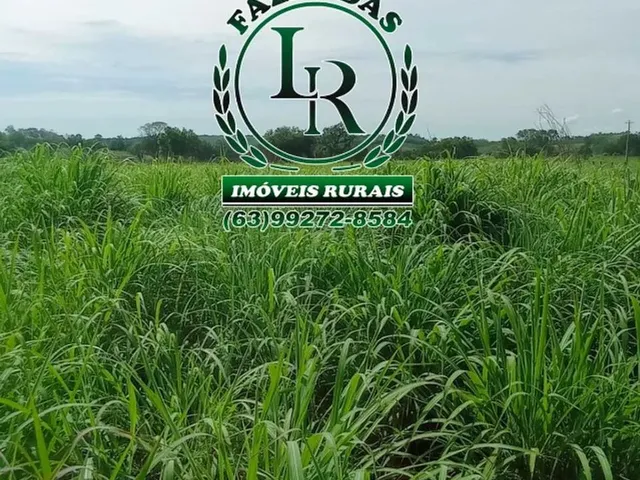 Imagem: Oportunidade Chácara de 34 Hectares Próximo