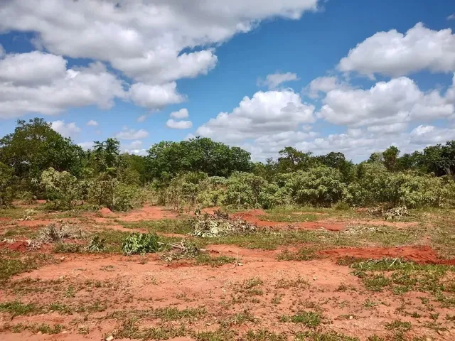 Imagem: Fazendinhas Planas com 20.000M2 Às Margens