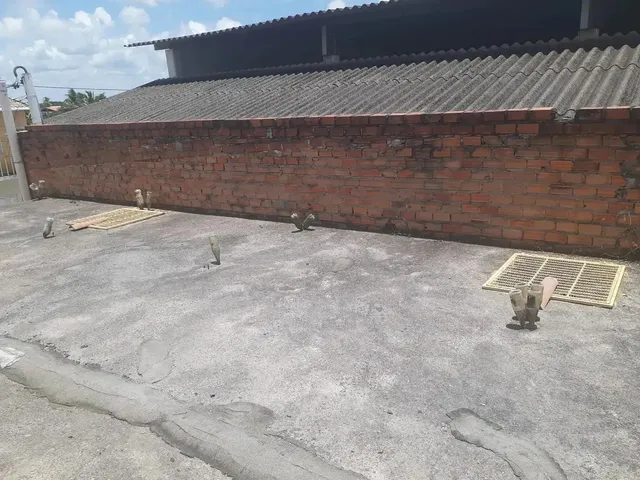 Imagem 8: Comercial À Venda em Rua Pública, Centro, Conde, Ba