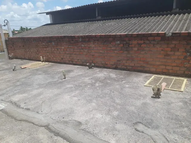 Imagem 9: Comercial À Venda em Rua Pública, Centro, Conde, Ba