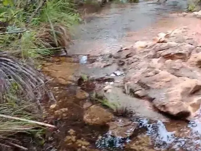Imagem: Vendo Um Lote e 2 Chácaras no Jalapão