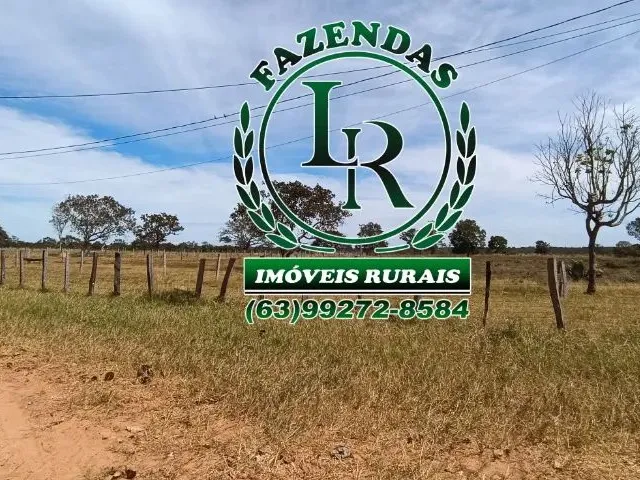 Imagem 10: Fazenda 152 Alqueires, 740 Hectares Dupla Aptidão Próximo a Palmas Tocantins