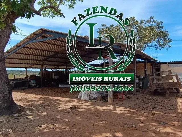 Imagem 5: Fazenda 152 Alqueires, 740 Hectares Dupla Aptidão Próximo a Palmas Tocantins
