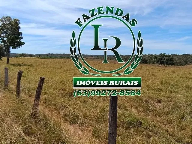 Imagem 12: Fazenda 152 Alqueires, 740 Hectares Dupla Aptidão Próximo a Palmas Tocantins