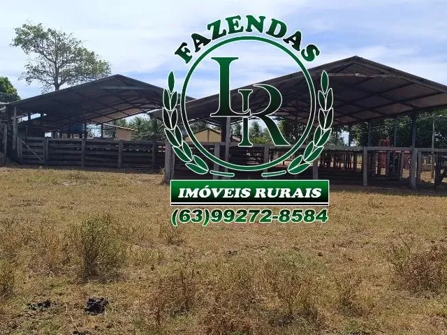 Imagem 2: Fazenda 152 Alqueires, 740 Hectares Dupla Aptidão Próximo a Palmas Tocantins
