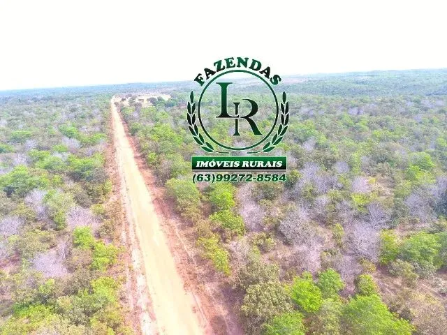 Imagem 7: Fazenda 152 Alqueires, 740 Hectares Dupla Aptidão Próximo a Palmas Tocantins