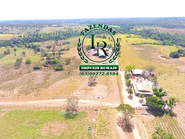 Imagem 9: Fazenda 152 Alqueires, 740 Hectares Dupla Aptidão Próximo a Palmas Tocantins