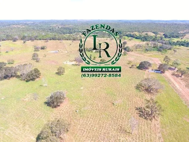 Imagem 11: Fazenda 152 Alqueires, 740 Hectares Dupla Aptidão Próximo a Palmas Tocantins