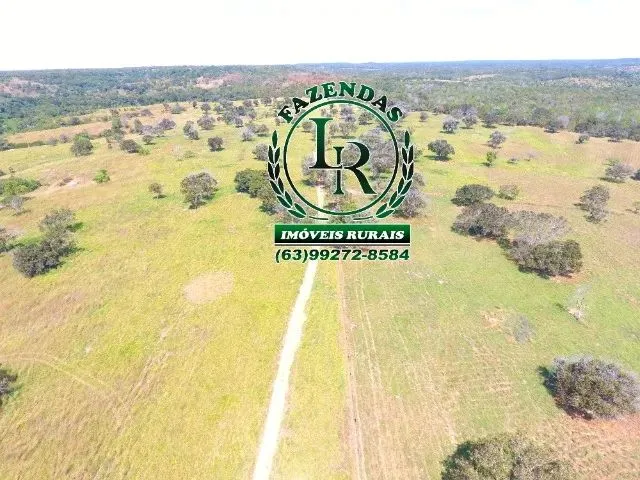 Imagem 13: Fazenda 152 Alqueires, 740 Hectares Dupla Aptidão Próximo a Palmas Tocantins