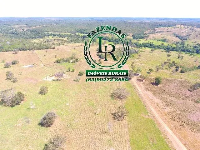 Imagem 4: Fazenda 152 Alqueires, 740 Hectares Dupla Aptidão Próximo a Palmas Tocantins