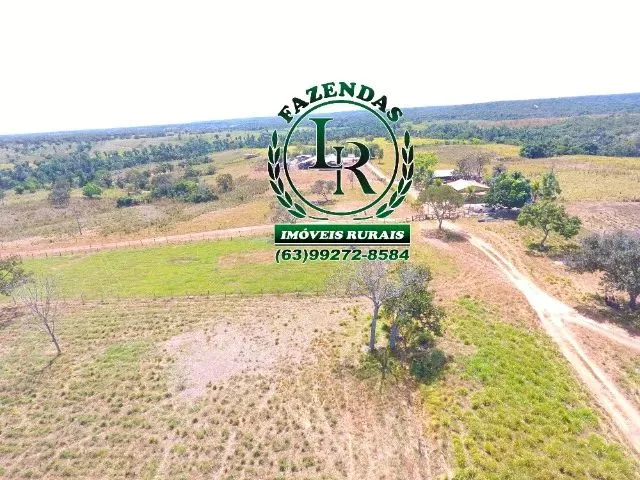 Imagem 3: Fazenda 152 Alqueires, 740 Hectares Dupla Aptidão Próximo a Palmas Tocantins
