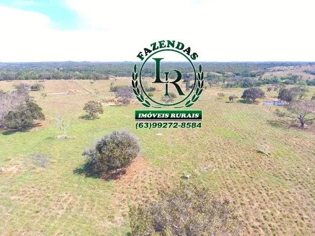 Imagem 14: Fazenda 152 Alqueires, 740 Hectares Dupla Aptidão Próximo a Palmas Tocantins