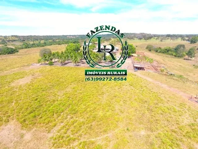Imagem 16: Fazenda 152 Alqueires, 740 Hectares Dupla Aptidão Próximo a Palmas Tocantins