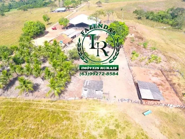 Imagem 6: Fazenda 152 Alqueires, 740 Hectares Dupla Aptidão Próximo a Palmas Tocantins