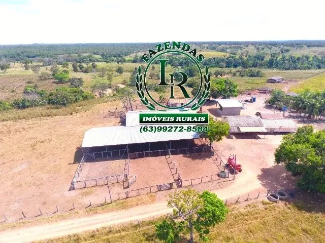Imagem 15: Fazenda 152 Alqueires, 740 Hectares Dupla Aptidão Próximo a Palmas Tocantins