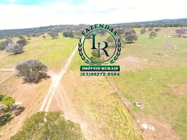 Imagem 8: Fazenda 152 Alqueires, 740 Hectares Dupla Aptidão Próximo a Palmas Tocantins