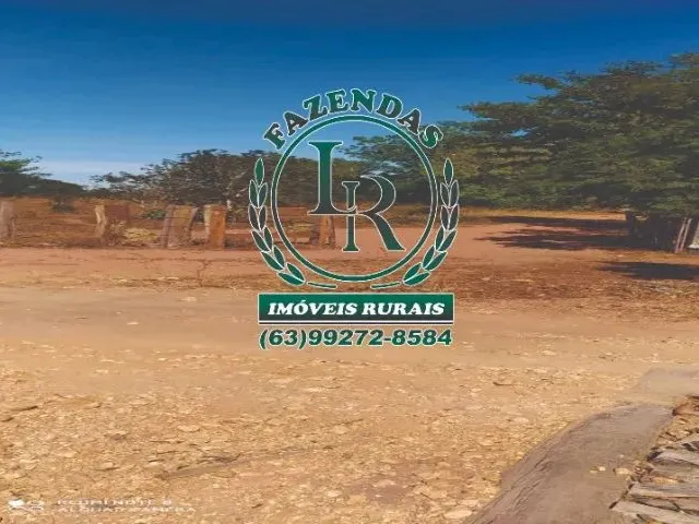 Imagem: A fazenda está localizado em Setor Central, Araguaína à venda