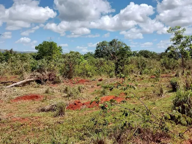 Imagem: Fazendinhas com 20.000M2 Financiadas Às
