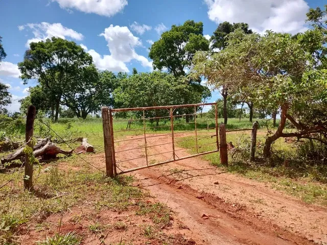 Imagem: Fazendinhas Planas 20.000M2 Água e Luz