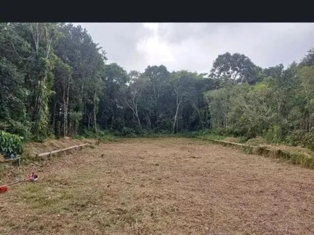 Imagem: Vendo Terreno - Boraceia - São Sebastião