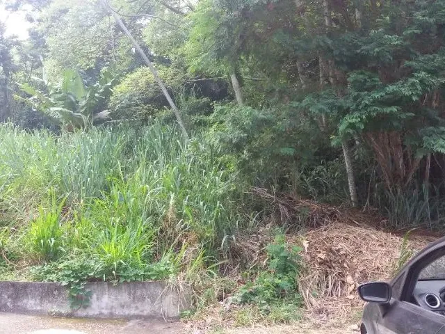 Imagem 2: Terreno À Venda - Praia de Barequeçaba São Sebastião Sp 1.181 M²