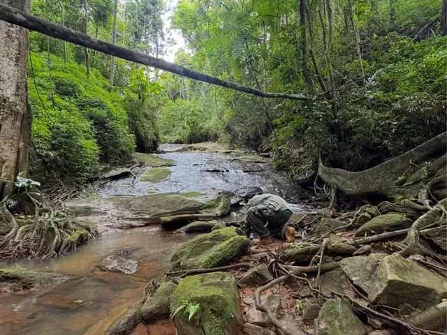 Imagem: Terreno com Cachoeira