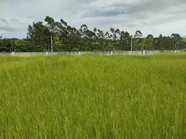 Imagem: Oportunidade Terreno de 250M2 Condominio