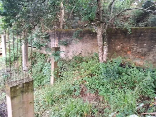 Imagem 2: Ótima Oportunidade em Florianópolis