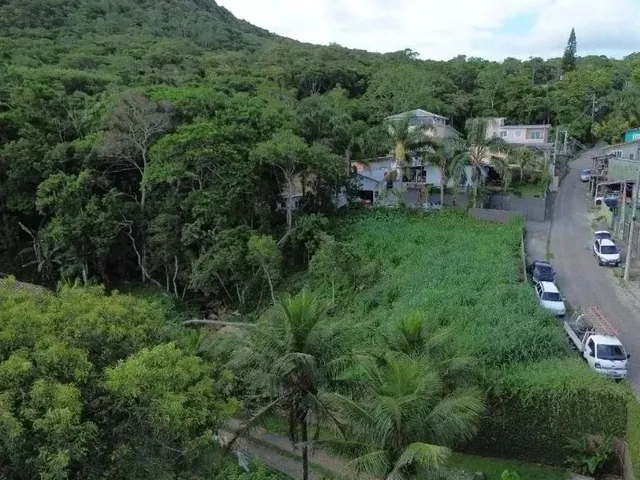 Imagem 6: Terreno Residencial em Florianópolis - Sc, Sambaqui
