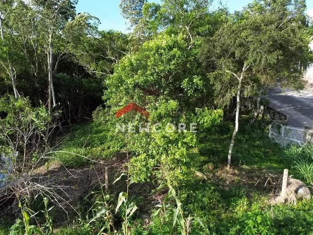 Imagem 2: Lote em Rua Gécio de Souza e Silva - Sambaqui - Florianópolis/Sc