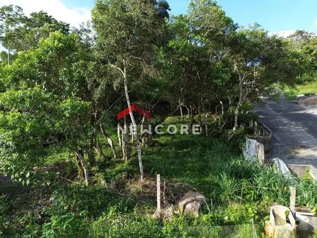 Imagem 12: Lote em Rua Gécio de Souza e Silva - Sambaqui - Florianópolis/Sc