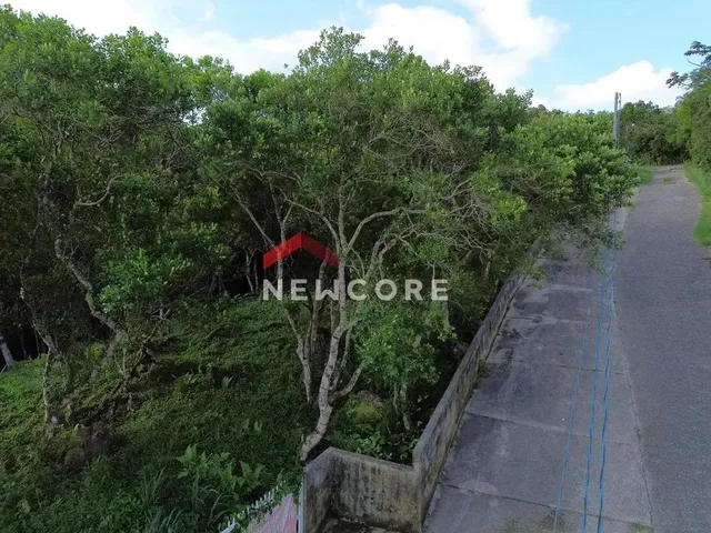 Imagem 7: Lote em Rua Gécio de Souza e Silva - Sambaqui - Florianópolis/Sc