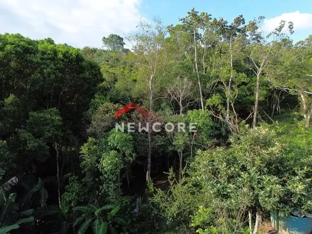 Imagem 9: Lote em Rua Gécio de Souza e Silva - Sambaqui - Florianópolis/Sc