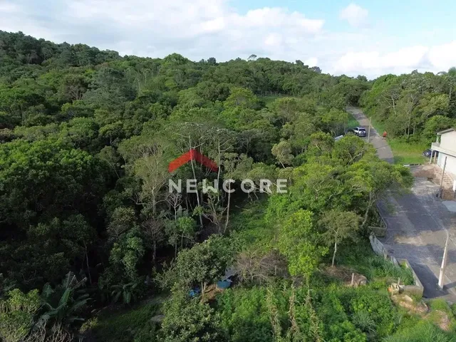 Imagem 10: Lote em Rua Gécio de Souza e Silva - Sambaqui - Florianópolis/Sc