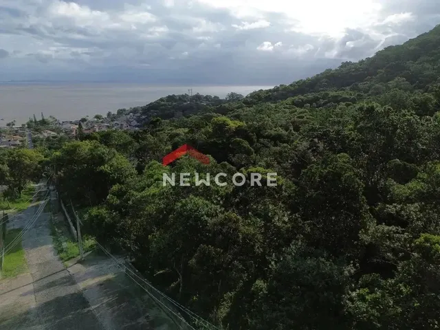 Imagem 16: Lote em Rua Gécio de Souza e Silva - Sambaqui - Florianópolis/Sc