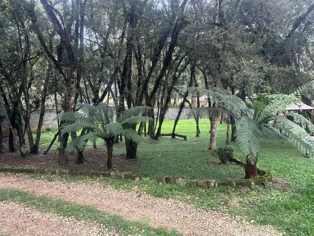 Imagem 3: Vendo Chácara Chácara com venda por R$850.000