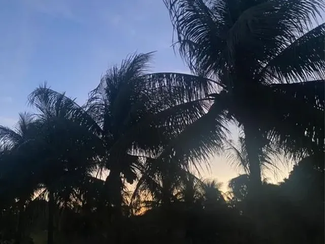 Imagem 11: Chácara para Alugar em Boca da Mata/Al - Natureza e Tranquilidade