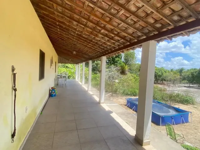 Imagem 14: Chácara para Alugar em Boca da Mata/Al - Natureza e Tranquilidade
