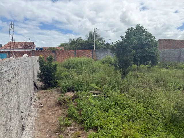 Imagem 2: Vendo Terreno Perto da Chácara Marvila , Depois do Ifal 16 Mil Reais