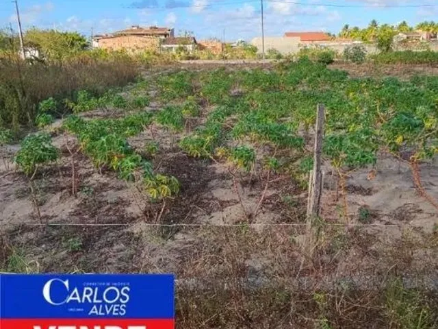 Imagem: Vende-Se Terreno em Coruripe 8X20