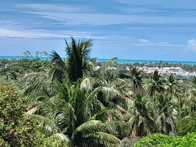 Imagem: A fazenda possui 900m² de Área e está localizado em