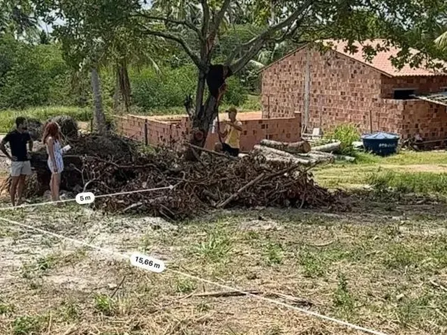 Imagem: Lote À Venda em Rua Pública, Tatuamunha